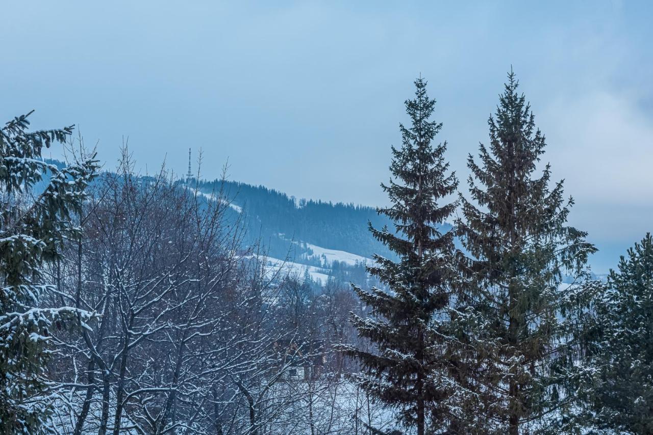 Zakopianskie Widoki Zakopane Esterno foto